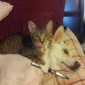 Meet your Posher, Paris